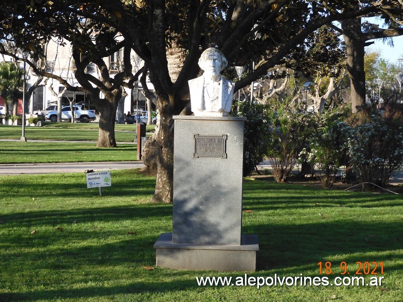 Foto: Vedia - Busto Bartolome Mitre - Vedia (Buenos Aires), Argentina