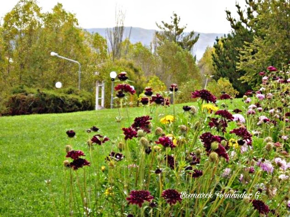Foto: Parque Pesko Ujyana - Ciudad de Oruro (Oruro), Bolivia