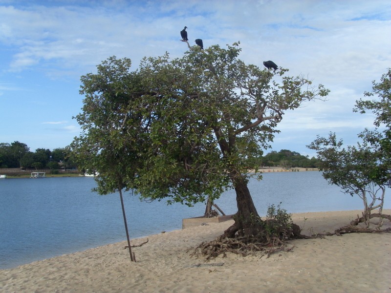 Foto: río Tapajós - Alter do Chão (Pará), Brasil