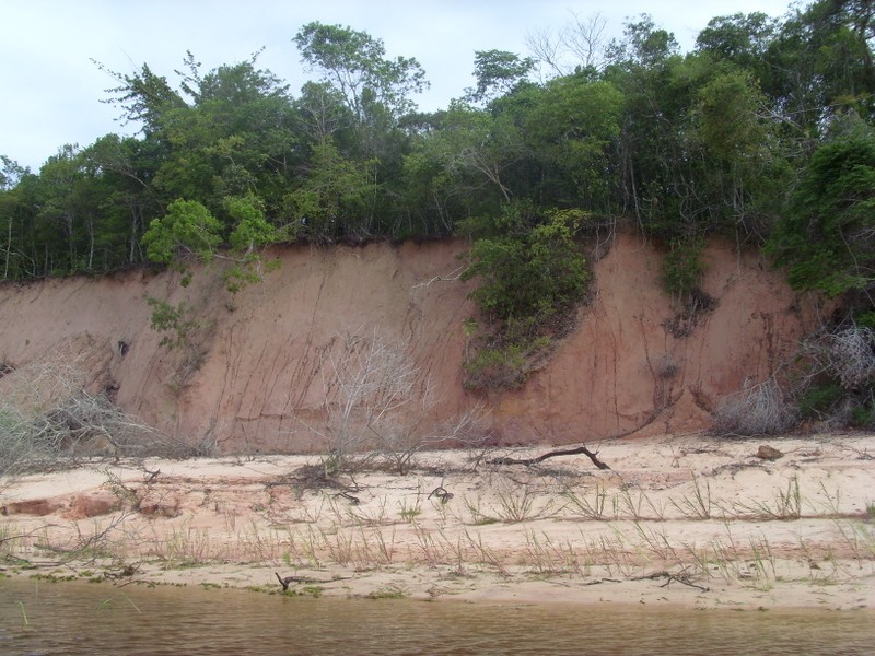 Foto de Alter do Chão (Pará), Brasil