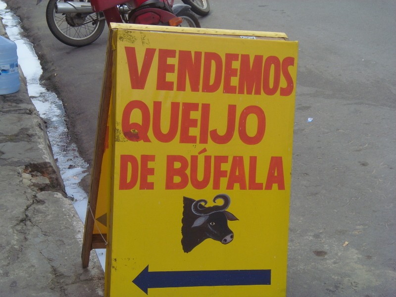 Foto: queso de búfala - Manaus (Amazonas), Brasil