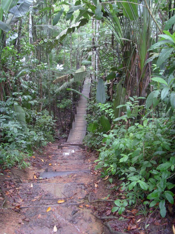Foto: Chácara do Rona - Oiapoque (Amapá), Brasil