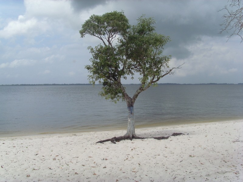 Foto: río Xingú, Praia da Chácara - Porto de Moz (Pará), Brasil