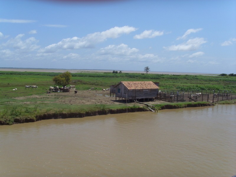 Foto de Cuenca del Amazonas (Pará), Brasil
