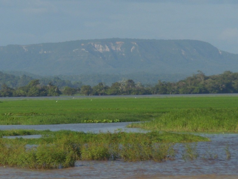 Foto de Cuenca del Amazonas (Pará), Brasil