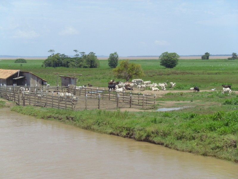 Foto de Cuenca del Amazonas (Pará), Brasil