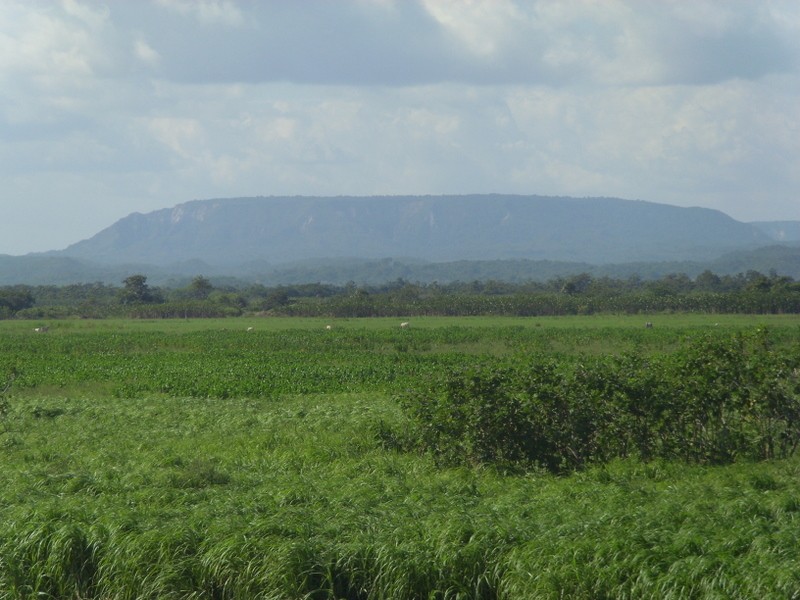 Foto de Cuenca del Amazonas (Pará), Brasil