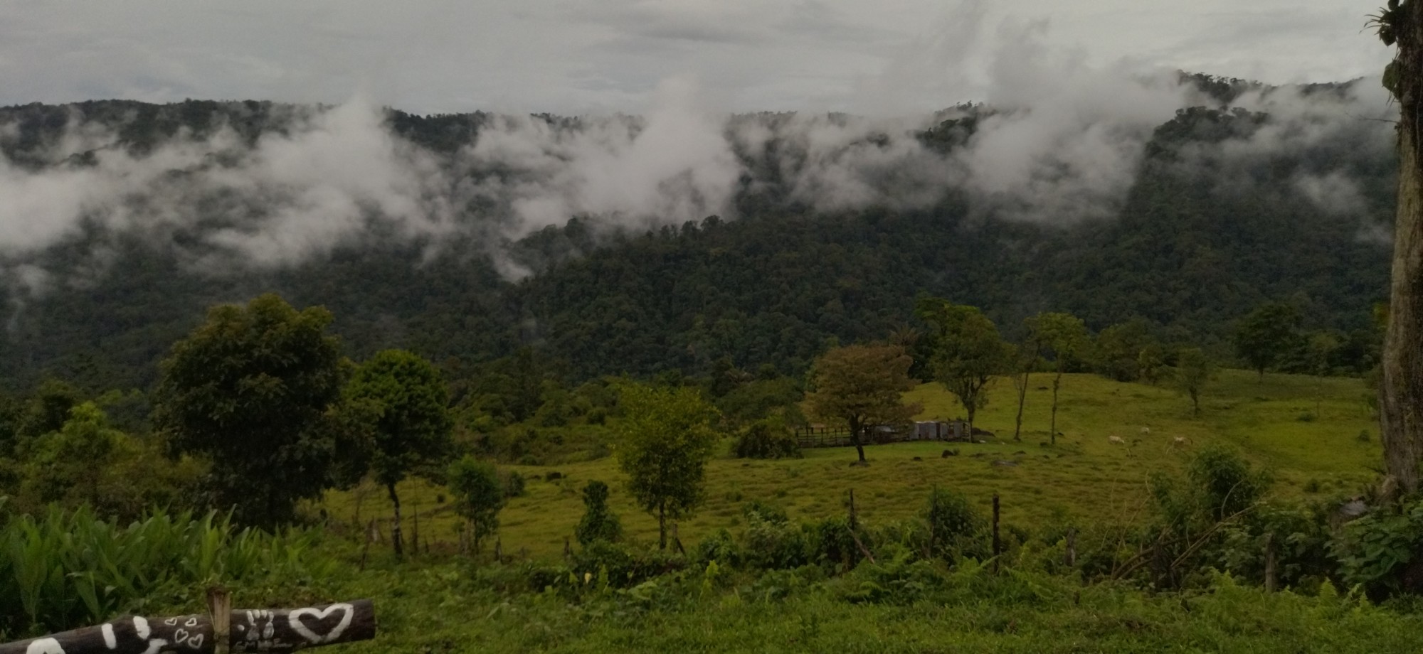 Foto: Parque Barbilla sector Caribe - Siquirres (Limón), Costa Rica