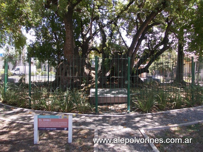 Foto: Ciudad Jardín Lomas del Palomar - Ombú Histórico - Ciudad Jardin Lomas del Palomar (Buenos Aires), Argentina