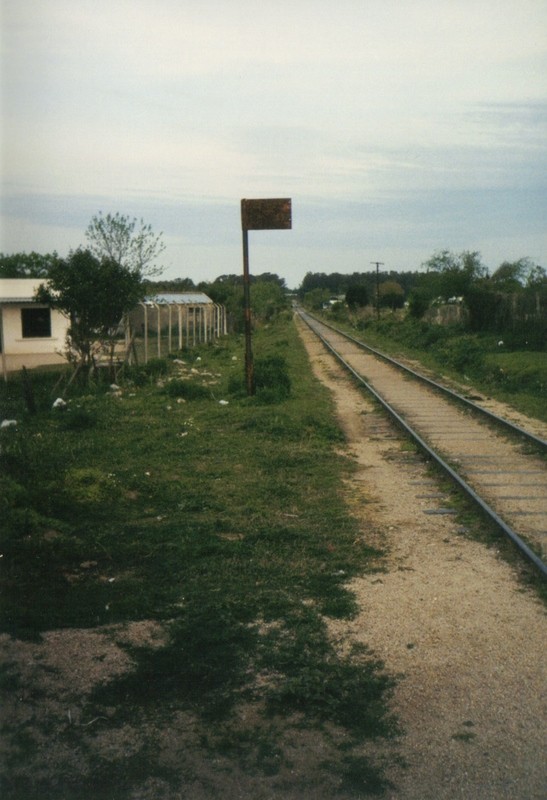 Foto: Parada de las Flores - San José, Uruguay