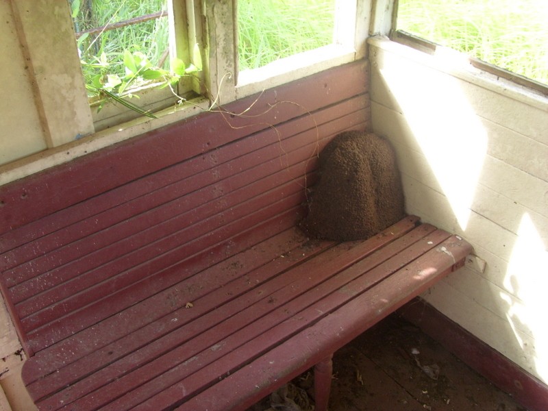 Foto: estación Overwacht - Overwacht (Para), Surinam