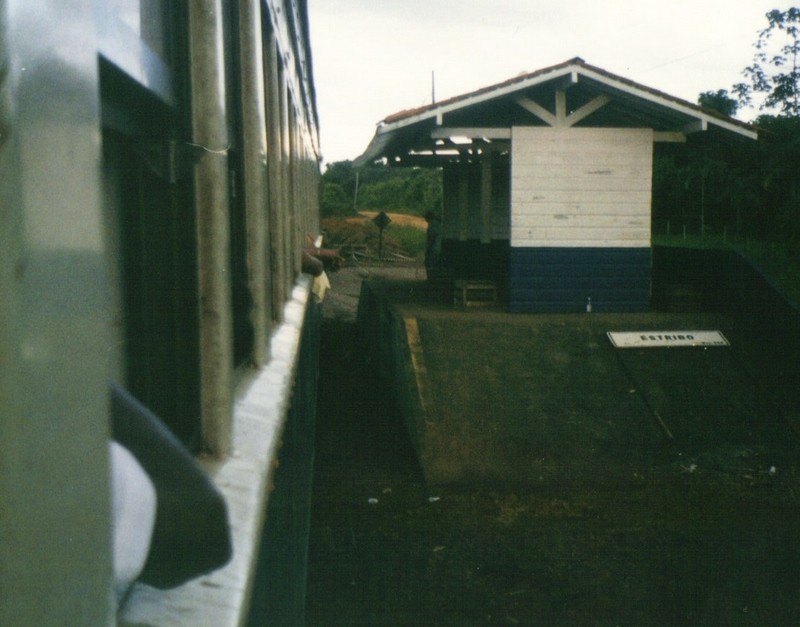 Foto: Estribo Km 117 - Estrada de Ferro do Amapá (Amapá), Brasil