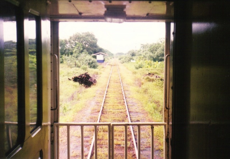 Foto: Estribo Km 173 - Estrada de Ferro do Amapá (Amapá), Brasil