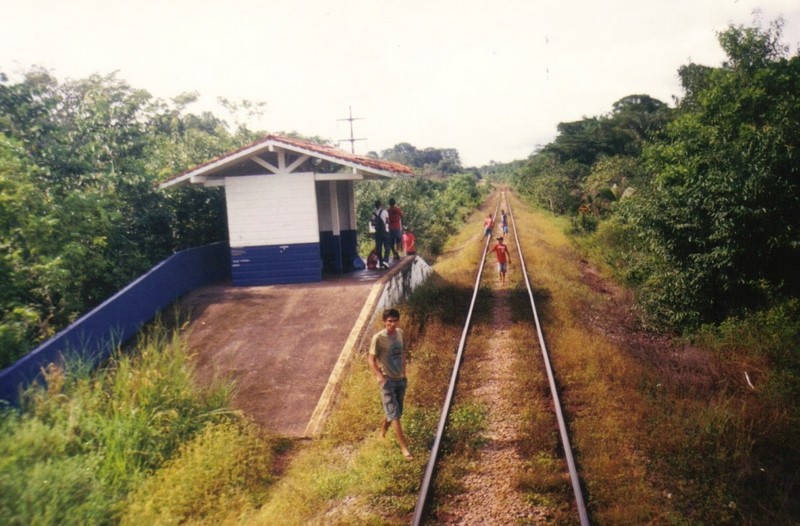 Foto: Estribo do Cachorrinho, Km 166 - Estrada de Ferro do Amapá (Amapá), Brasil