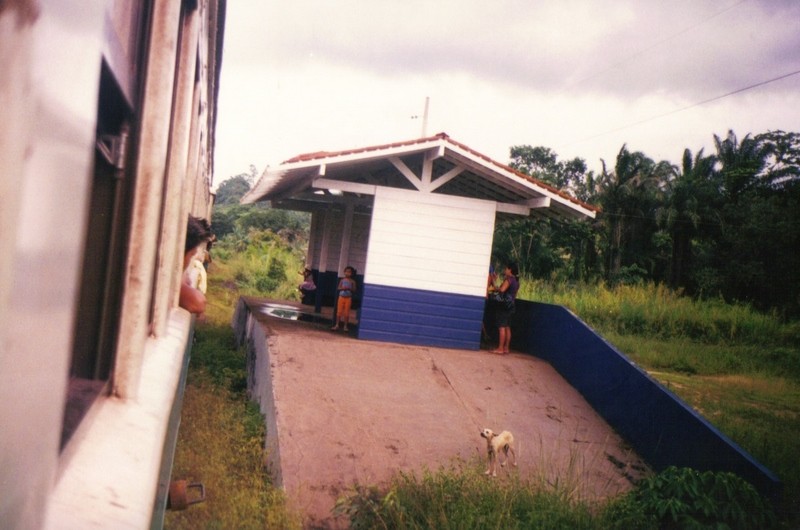 Foto: Asentamento de Munguba, Km 156 - Estrada de Ferro do Amapá (Amapá), Brasil