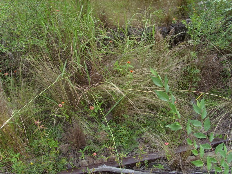 Foto: borde del andén del apeadero El Vado - Apeadero El Vado (Córdoba), Argentina