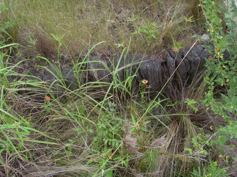 Foto: borde del andén del apeadero El Vado - Apeadero El Vado (Córdoba), Argentina