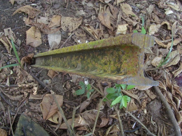 Foto: riel solitario del desaparecido ferrocarril bananero local - Quepos (Puntarenas), Costa Rica