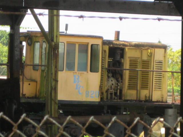Foto: ferrocarril bananero Bocas Fruit Company, muerto - Almirante (Bocas del Toro), Panamá