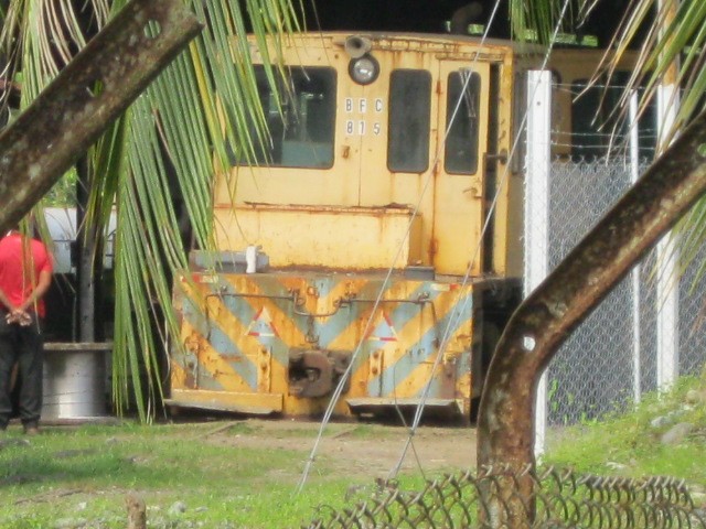 Foto: ferrocarril bananero Bocas Fruit Company, muerto - Almirante (Bocas del Toro), Panamá