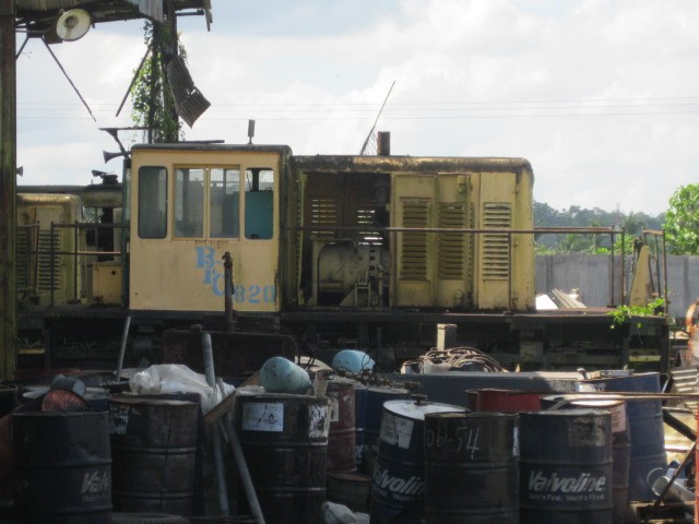 Foto: ferrocarril bananero Bocas Fruit Company, muerto - Almirante (Bocas del Toro), Panamá