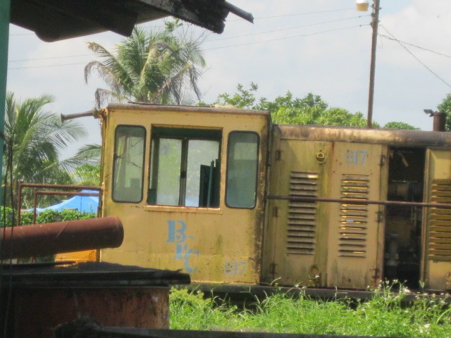 Foto: ferrocarril bananero Bocas Fruit Company, muerto - Almirante (Bocas del Toro), Panamá