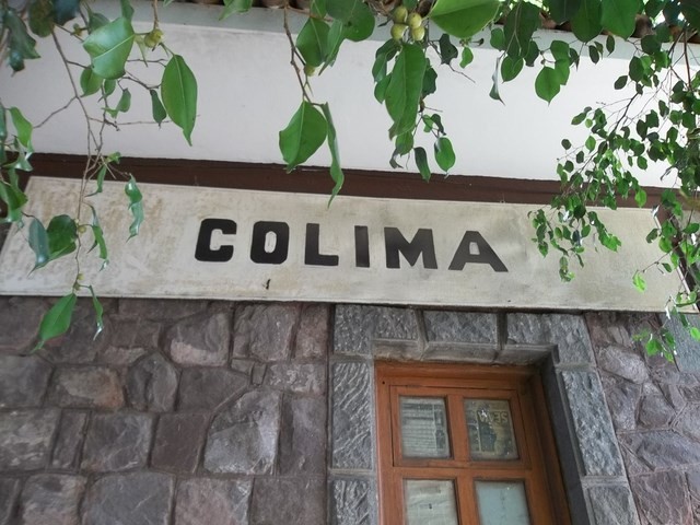 Foto: estación Colima - Colima, México