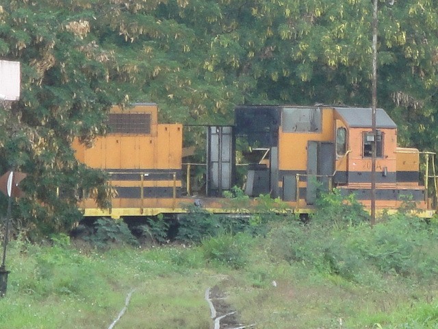 Foto: en una de las vías activas - Mérida (Yucatán), México