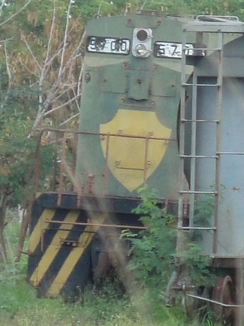 Foto: en una de las vías activas - Mérida (Yucatán), México