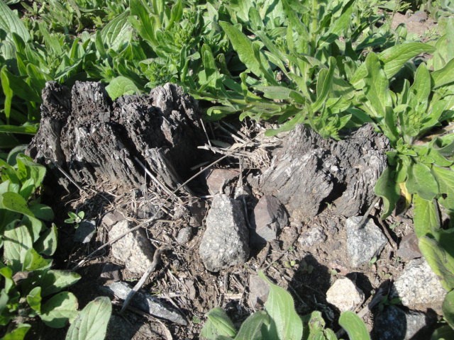 Foto: maderos del borde del andén del apeadero Km 618 - La Curva (Córdoba), Argentina