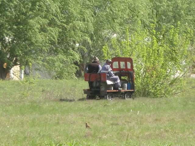 Foto: qué más quisiera - Pedro E. Vivas (Córdoba), Argentina