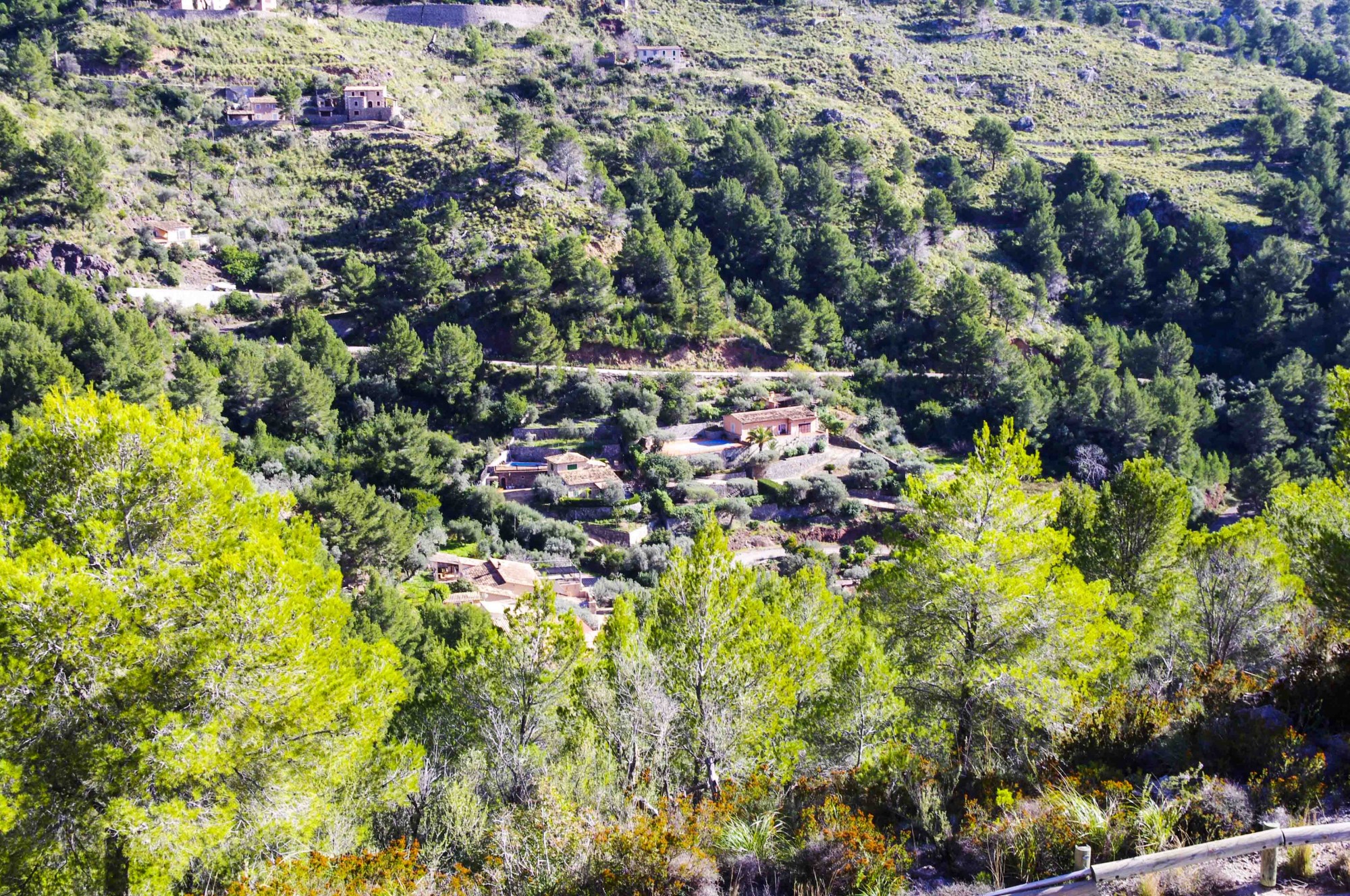 Foto: Casas sobre la ladera de la montaña - Escorca (Cala tuent ) (Illes Balears), España