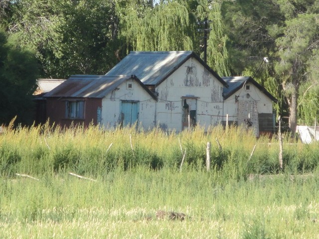 Foto: estación Coronel Belisle, FC Roca - Coronel Belisle (Río Negro), Argentina