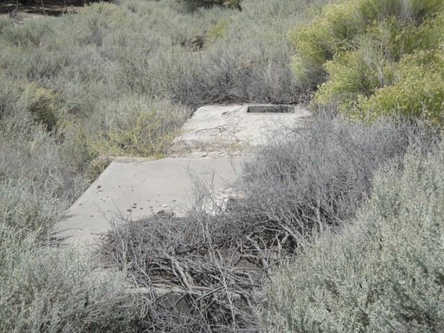 Foto: resto de la estación Otto Krause, FC Roca - Otto Krause (Río Negro), Argentina