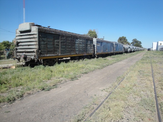 Foto: tren de Ferrosur Roca en estación Cipolletti, FC Roca - Cipolletti (Río Negro), Argentina