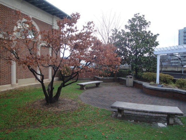 Foto: jardín de la estación - Atlanta (Georgia), Estados Unidos