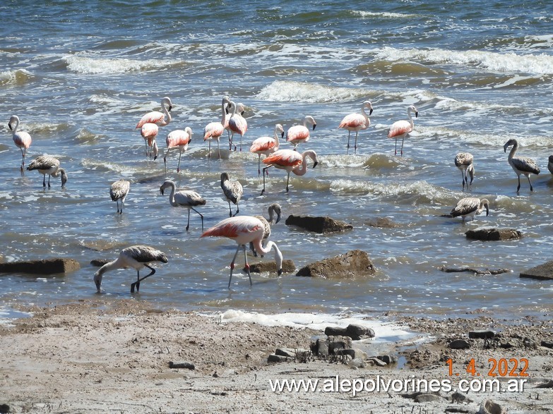 Foto: Miramar de Ansenuza - Miramar (Córdoba), Argentina