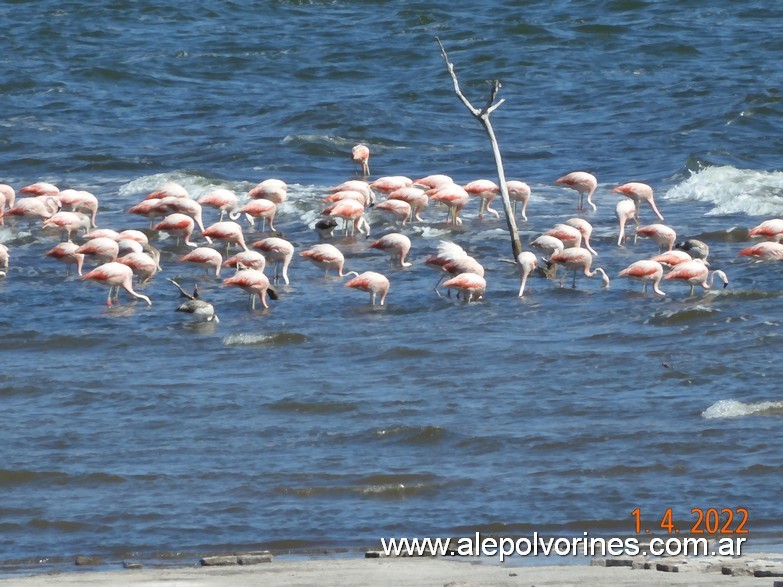 Foto: Miramar de Ansenuza - Miramar (Córdoba), Argentina