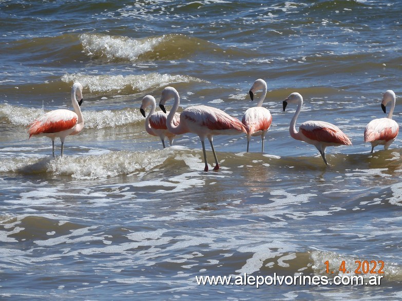 Foto: Miramar de Ansenuza - Miramar (Córdoba), Argentina