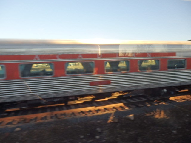 Foto: material rodante en las afueras de Williams - Williams (Arizona), Estados Unidos