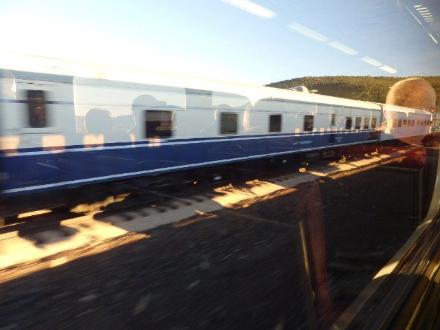 Foto: material rodante en las afueras de Williams - Williams (Arizona), Estados Unidos