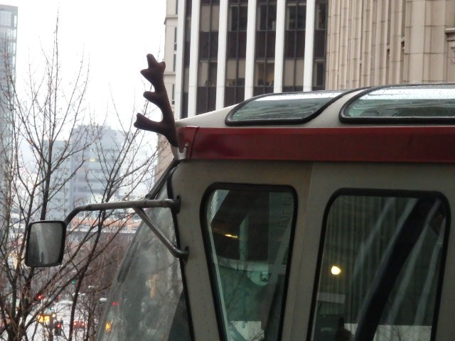 Foto: monorriel - Seattle (Washington), Estados Unidos