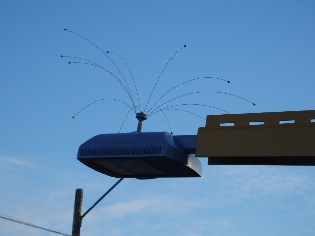 Foto: estación de Amtrak - Tukwila (Washington), Estados Unidos
