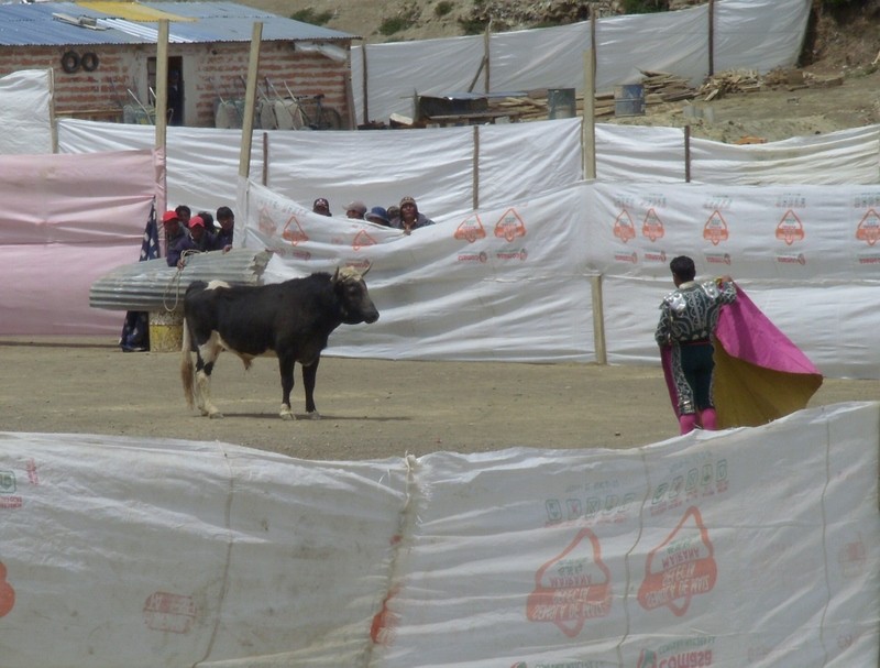Foto: toreo incruento - Achacachi (La Paz), Bolivia