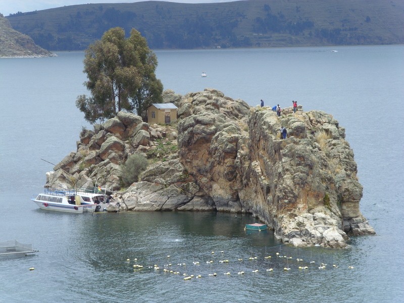 Foto: islote en el lago Titicaca, frente a Chani - Chani (La Paz), Bolivia