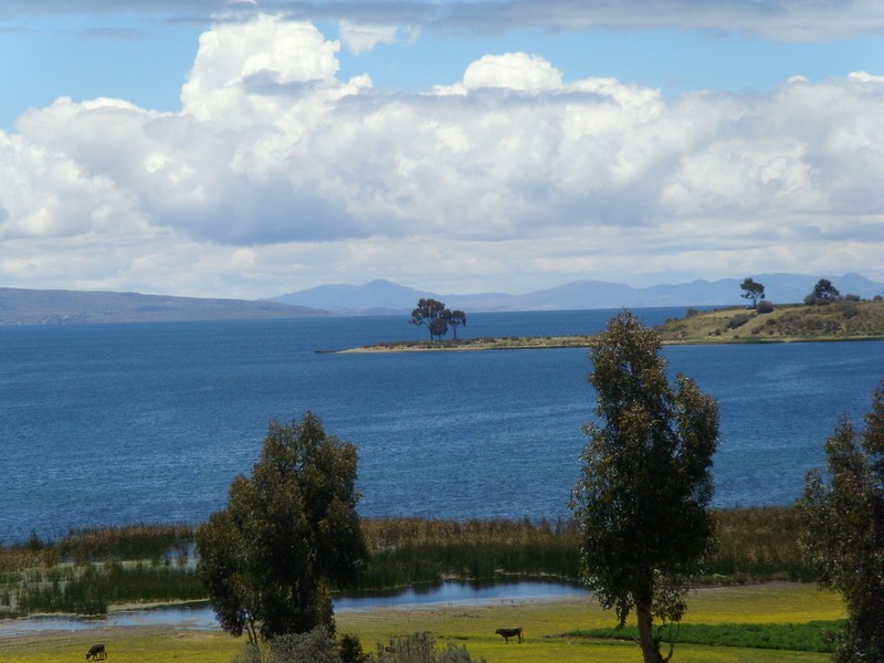 Foto: lago Titicaca - Sahuiña (La Paz), Bolivia