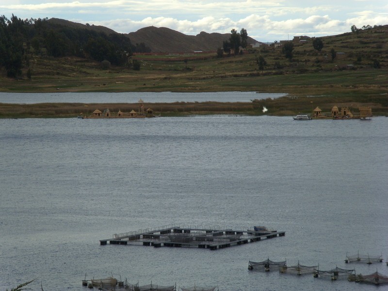 Foto: islas flotantes en el lago Titicaca - Zona de Copacabana (La Paz), Bolivia