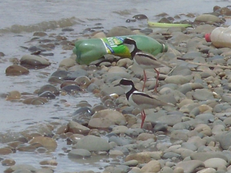 Foto: río Beni - Rurrenabaque (El Beni), Bolivia