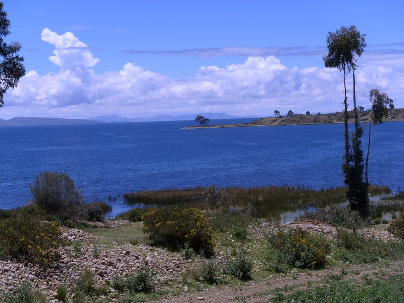 Foto: lago Titicaca - Sahuiña (La Paz), Bolivia