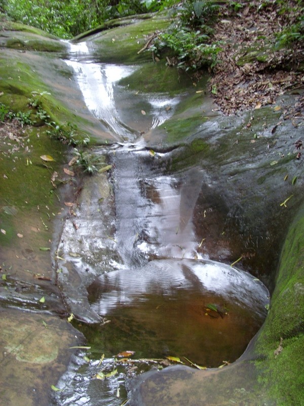 Foto de Rurrenabaque (El Beni), Bolivia